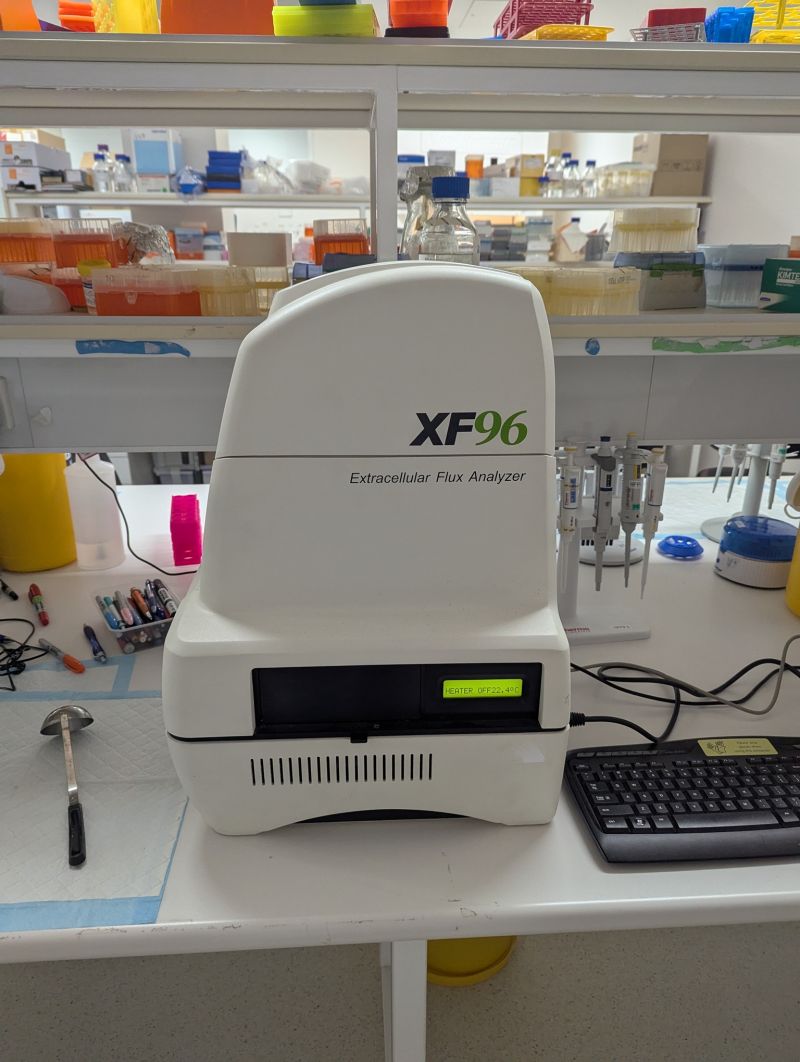 Agilent Seahorse XF96 Extracellular Flux Analyzer